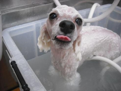 ファイル 1446-2.jpg