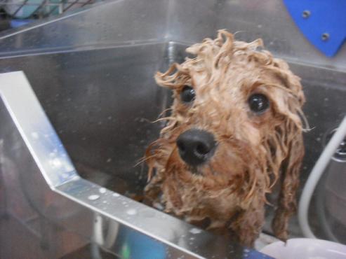 ファイル 1448-3.jpg