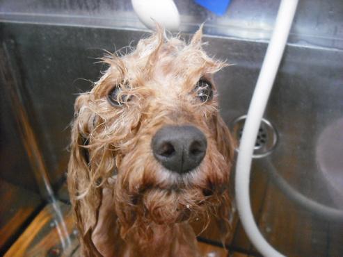 ファイル 1449-2.jpg