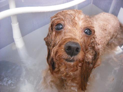 ファイル 145-2.jpg