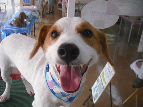 ファイル 1450-1.jpg