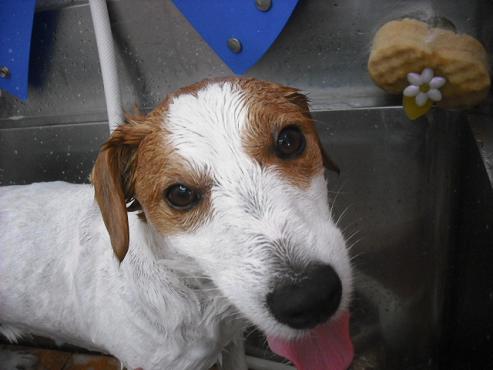 ファイル 1450-3.jpg