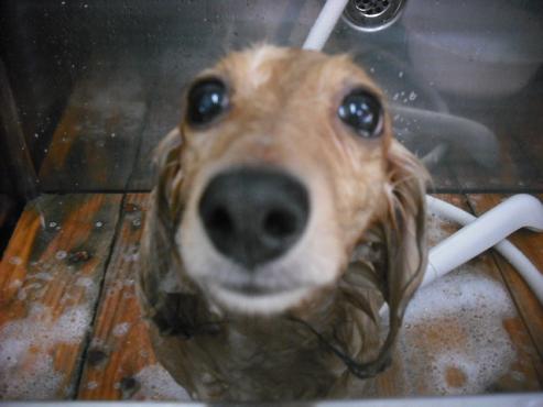 ファイル 1452-2.jpg