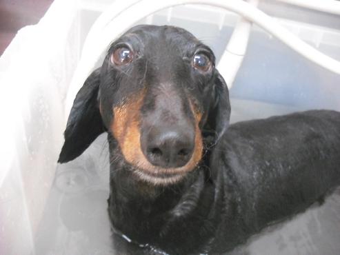 ファイル 1454-3.jpg