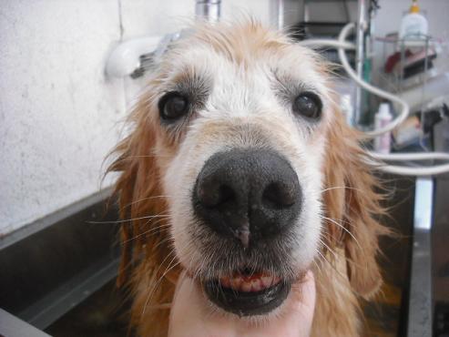 ファイル 1456-3.jpg