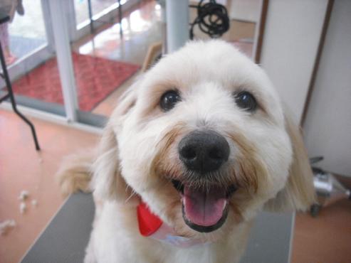 ファイル 1457-1.jpg