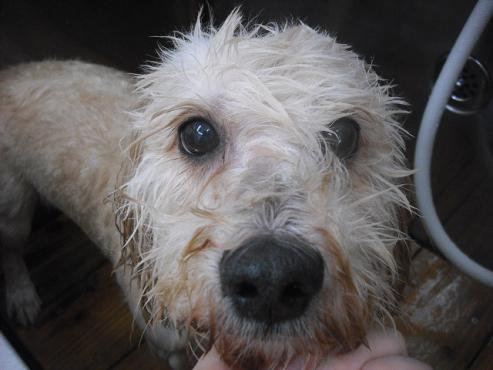 ファイル 1457-2.jpg