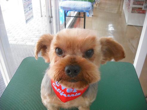 ファイル 1458-1.jpg