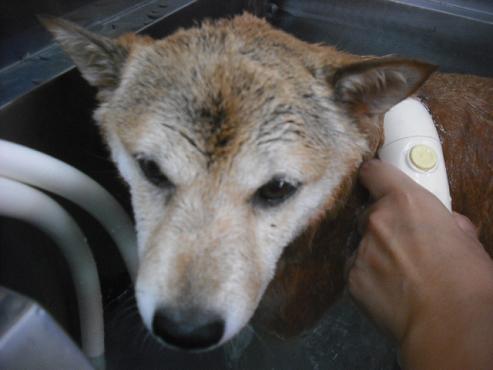 ファイル 1459-2.jpg