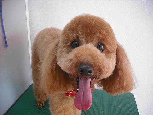 ファイル 146-1.jpg