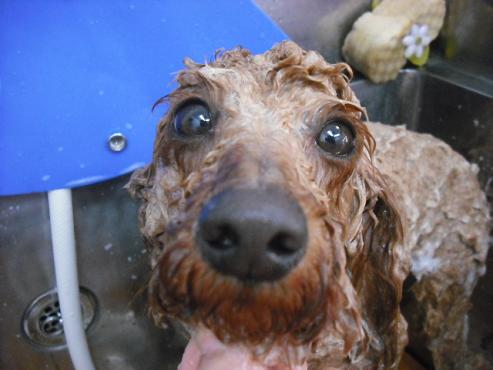 ファイル 146-3.jpg