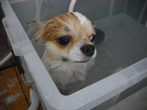 ファイル 1460-2.jpg