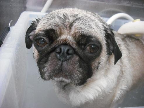 ファイル 1461-3.jpg