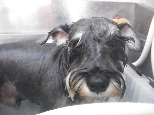 ファイル 1463-2.jpg