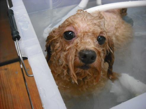 ファイル 1464-2.jpg