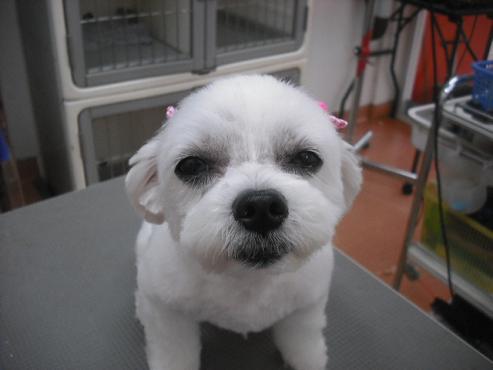 ファイル 1465-1.jpg