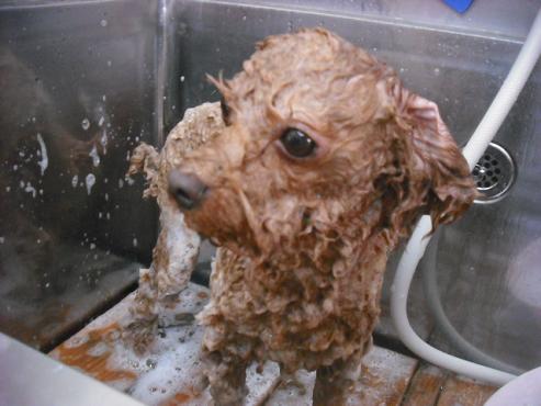 ファイル 1467-3.jpg