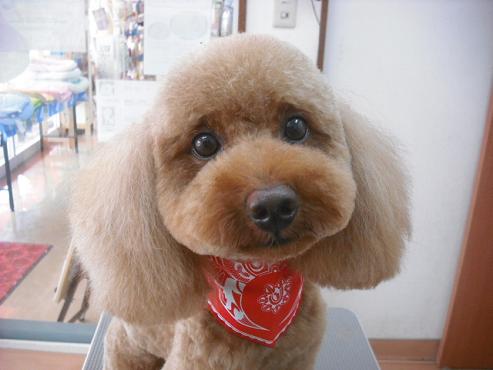 ファイル 1468-1.jpg