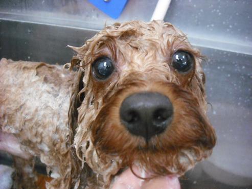 ファイル 1469-3.jpg