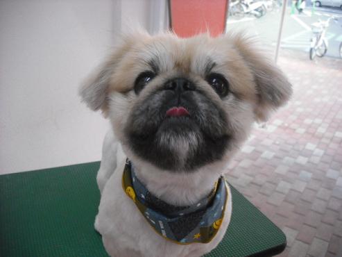 ファイル 147-1.jpg