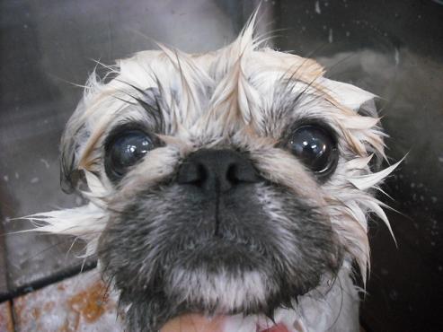 ファイル 147-2.jpg