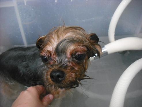 ファイル 1470-3.jpg