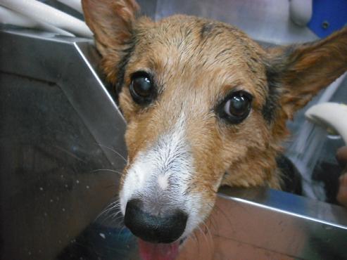 ファイル 1472-3.jpg