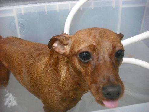 ファイル 1473-3.jpg