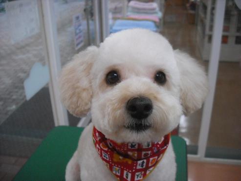 ファイル 1474-1.jpg