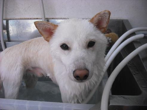 ファイル 1475-2.jpg