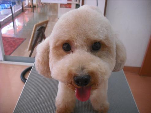 ファイル 1477-1.jpg