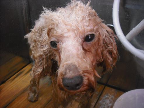 ファイル 1477-3.jpg