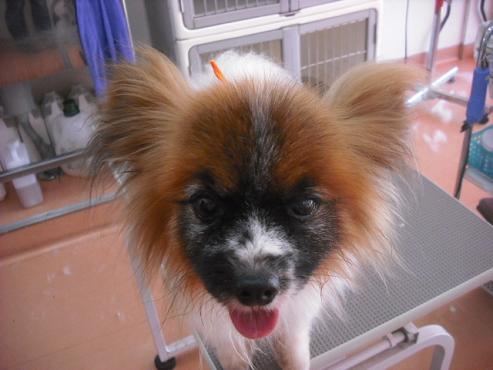 ファイル 1478-1.jpg