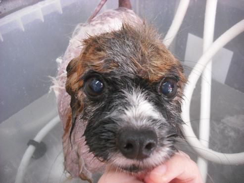 ファイル 1478-3.jpg