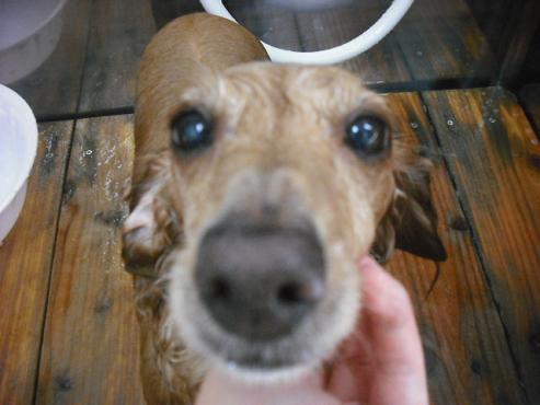 ファイル 1479-3.jpg