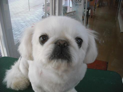 ファイル 148-1.jpg