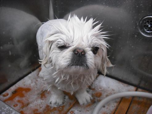 ファイル 148-3.jpg