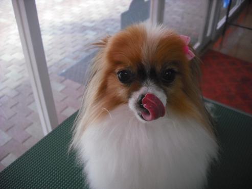 ファイル 1480-1.jpg