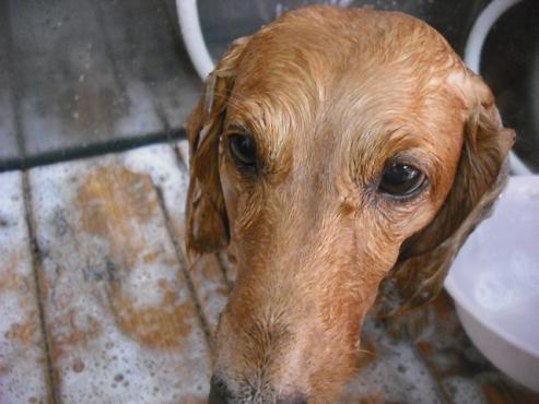 ファイル 1481-2.jpg