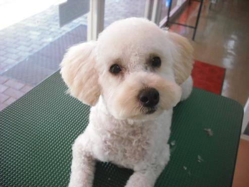 ファイル 1482-1.jpg