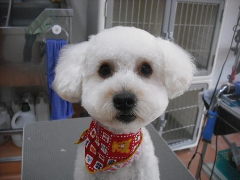 ファイル 1483-1.jpg