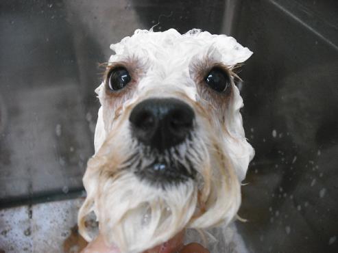 ファイル 1483-2.jpg