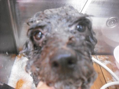 ファイル 1485-3.jpg