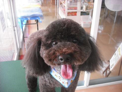 ファイル 1487-1.jpg