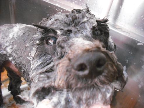 ファイル 1487-3.jpg