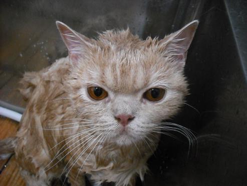 ファイル 1488-2.jpg