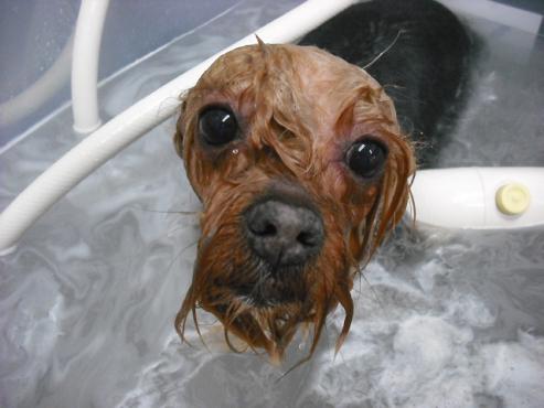 ファイル 149-3.jpg