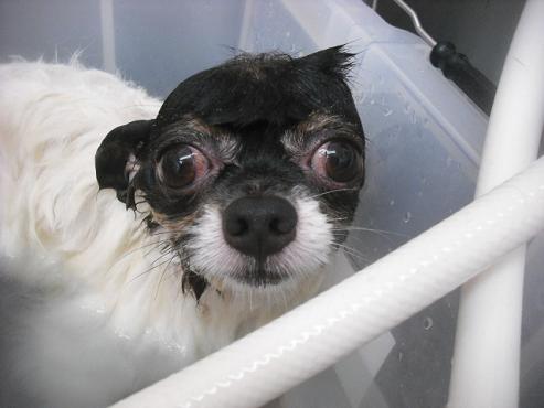 ファイル 1492-2.jpg