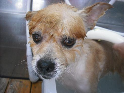 ファイル 1493-3.jpg