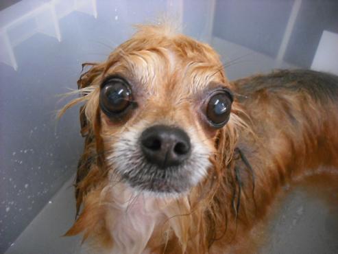 ファイル 1494-3.jpg